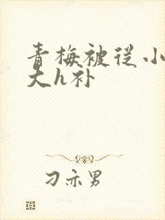 青梅被从小摸到大h补封面