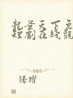 龙爸天下免费的短剧在线观看完整版