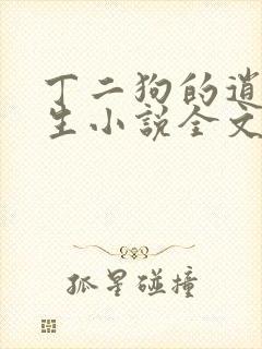 丁二狗的逍遥人生小说全文无删减