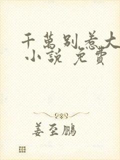 千万别惹大师兄 小说 免费封面