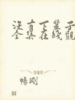 没有下辈子韩剧全集在线观看免费