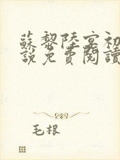 苏黎陆宴初的小说免费阅读