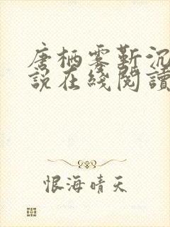 唐栖雾靳沉野小说在线阅读