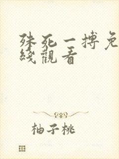 殊死一搏免费在线观看