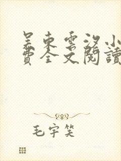 吴东云汐小说免费全文阅读封面