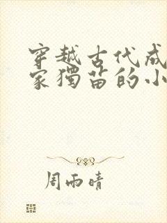 穿越古代成了周家独苗的小说