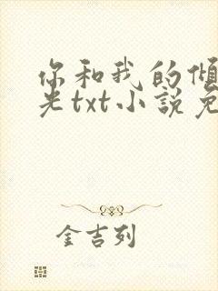 你和我的倾城时光txt小说免费阅读封面