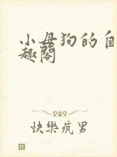 小母狗的自述笔趣阁