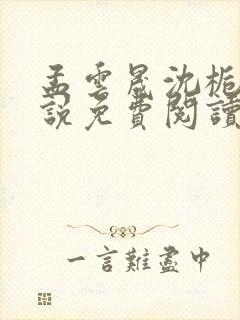 孟云晟沈栀意小说免费阅读最新章节