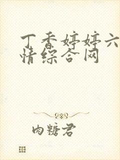 丁香婷婷六月激情综合网