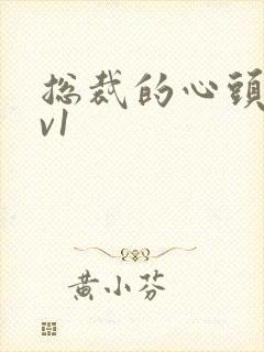 总裁的心头宝1v1