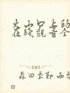 火山口上的两人在线观看全集