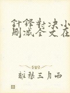 针锋对决小说无删减全文在线阅读封面