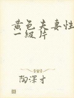 黄色夫妻性生活一级片封面