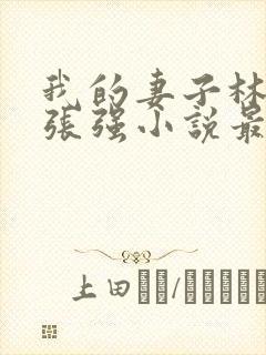 我的妻子林慧茹张强小说最新章节阅读