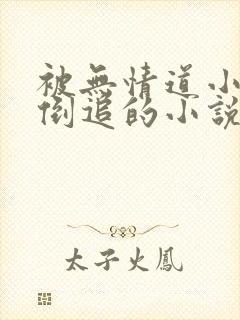 被无情道小师弟倒追的小说