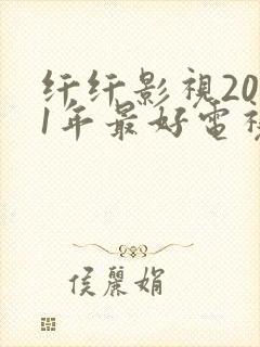 纤纤影视2021年最好电视剧