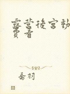 露营后宫动漫免费看