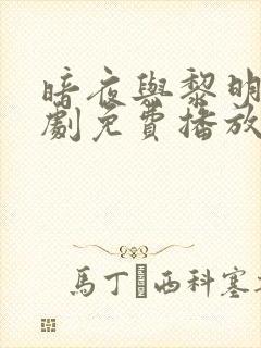 暗夜与黎明电视剧免费播放封面