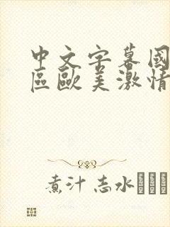 中文字幕国产专区欧美激情封面