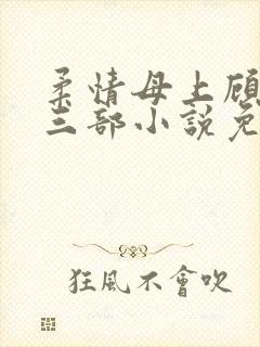 柔情母上顾为第三部小说免费阅读封面