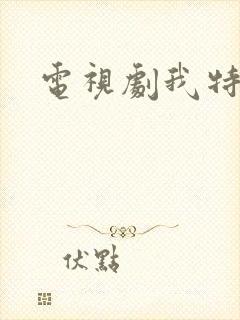 电视剧我特一营封面