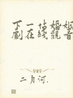 下一站婚姻电视剧在线观看免费封面