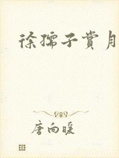 徐孺子赏月封面