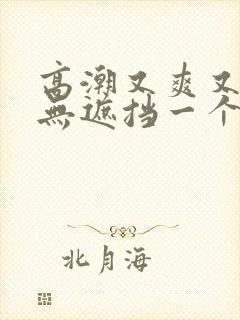 高潮又爽又黄又无遮挡一个人看的