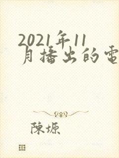2021年11月播出的电视剧