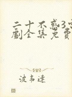 二十不惑3电视剧全集免费观看完整版封面