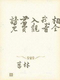 请君入我相思局免费观看全集封面