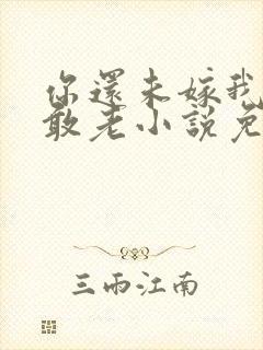 你还未嫁我怎么敢老小说免费阅读