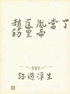 赵匡胤当了多久的皇帝封面