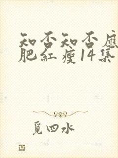 知否知否应是绿肥红瘦14集封面