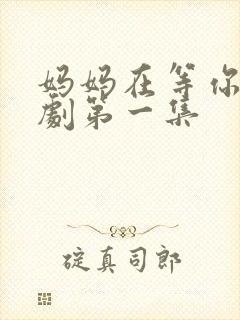 妈妈在等你电视剧第一集封面