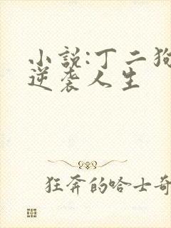 小说:丁二狗的逆袭人生