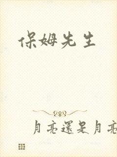 保姆先生
