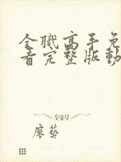 全职高手免费观看完整版动漫第二季