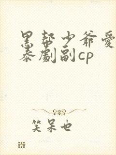 黑帮少爷爱上我泰剧副cp