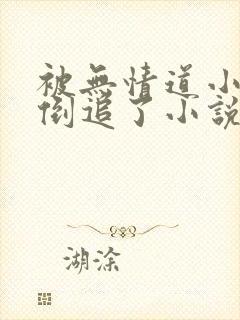 被无情道小师弟倒追了小说完整版封面