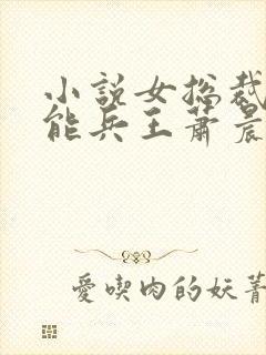 小说女总裁的全能兵王萧晨免费阅读