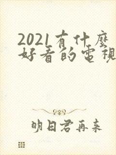 2021有什么好看的电视剧