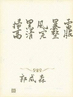 扫黑风暴电视剧高清完整版免费观看