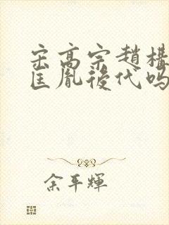 宋高宗赵构是赵匡胤后代吗封面