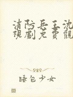 消防兵王沈笑电视剧免费观看