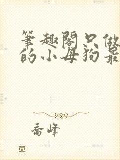 笔趣阁只做爸爸的小母狗最新章节更封面