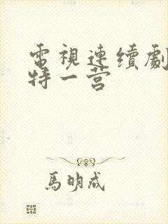 电视连续剧我的特一营