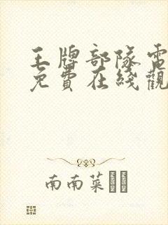 王牌部队电视剧免费在线观看