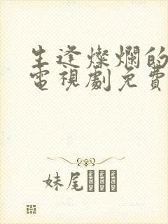 生逢灿烂的日子电视剧免费播放封面